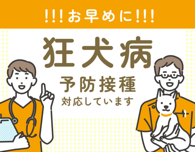 【狂犬病】狂犬病の予防接種忘れていませんか？