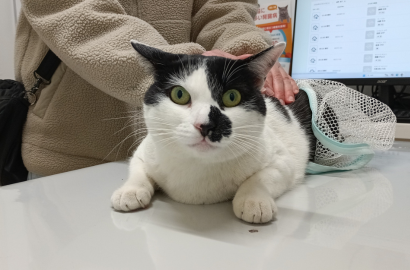 サカモト チョコ