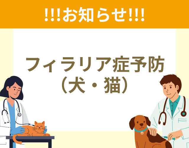 フィラリア症とは？5月から12月は大事な予防期間