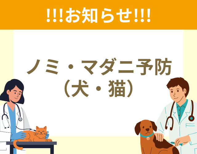 犬猫のノミ・マダニ予防対策